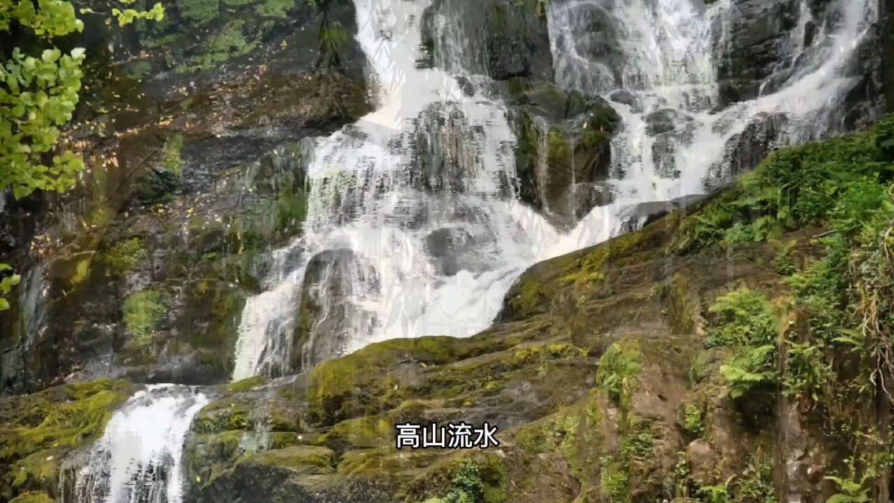 沪江开心词场