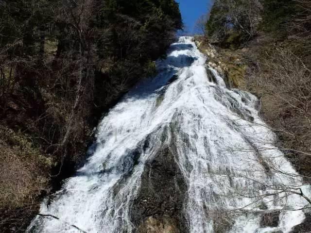 43岁阿娇用珠圆玉润身材，给内娱女星上了一课，这才是美！