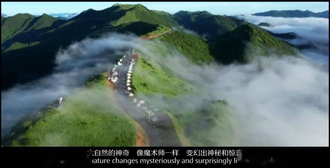 极品飞车16